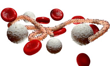 Ebola virüs, bakteri, virüs, salgın. Kan hücre organizma içinde Ebola virüsü gerçekçi 3d render. 