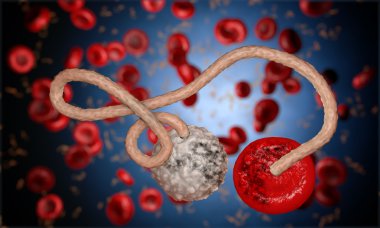 Ebola virüs, bakteri, virüs, salgın. Kan hücre organizma içinde Ebola virüsü gerçekçi 3d render. 