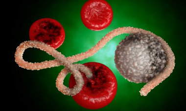 Ebola virüs, bakteri, virüs, salgın. Kan hücre organizma içinde Ebola virüsü gerçekçi 3d render. 