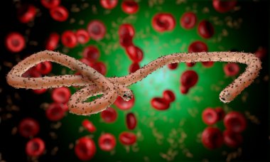 Ebola virüs, bakteri, virüs, salgın. Kan hücre organizma içinde Ebola virüsü gerçekçi 3d render. 