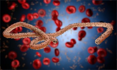 Ebola virüs, bakteri, virüs, salgın. Kan hücre organizma içinde Ebola virüsü gerçekçi 3d render. 