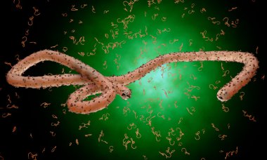 Ebola virüs, bakteri, virüs, salgın. Kan hücre organizma içinde Ebola virüsü gerçekçi 3d render. 