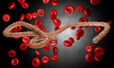 Ebola virüs, bakteri, virüs, salgın. Kan hücre organizma içinde Ebola virüsü gerçekçi 3d render. 