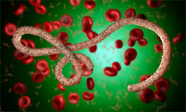 Virus dell'ebola, batteri, virus, epidemia. Realistico virus di rendering 3D Ebola con cellule del sangue all'interno dell'organismo . — Foto Stock