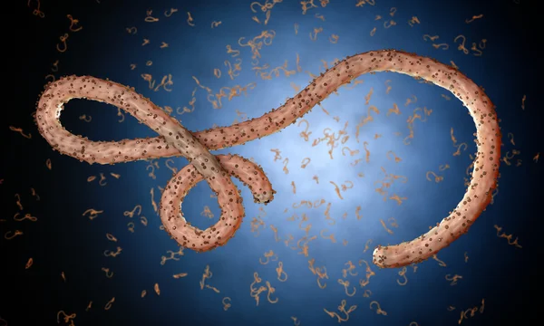 Virus dell'ebola, batteri, virus, epidemia. Realistico virus di rendering 3D Ebola con cellule del sangue all'interno dell'organismo . — Foto Stock