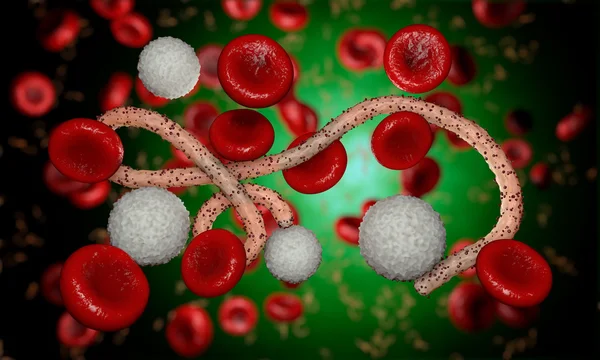 Virus dell'ebola, batteri, virus, epidemia. Realistico virus di rendering 3D Ebola con cellule del sangue all'interno dell'organismo . — Foto Stock