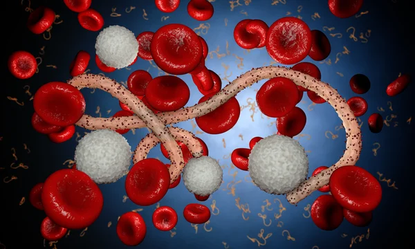 Ebola virus, bacteria, virus , epidemic. Realistic 3d render virus Ebola with blood cell inside organism. — Stock Photo, Image