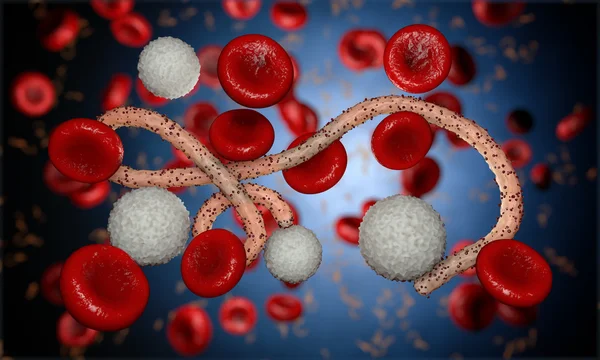 Virus dell'ebola, batteri, virus, epidemia. Realistico virus di rendering 3D Ebola con cellule del sangue all'interno dell'organismo . — Foto Stock