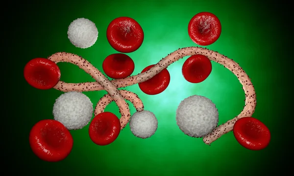 Virus dell'ebola, batteri, virus, epidemia. Realistico virus di rendering 3D Ebola con cellule del sangue all'interno dell'organismo . — Foto Stock