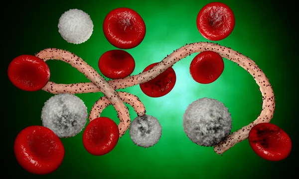 Virus del Ébola, bacterias, virus, epidemia. Realista 3d renderizar virus Ébola con células sanguíneas dentro del organismo . —  Fotos de Stock
