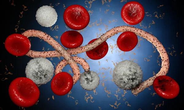 Virus dell'ebola, batteri, virus, epidemia. Realistico virus di rendering 3D Ebola con cellule del sangue all'interno dell'organismo . — Foto Stock