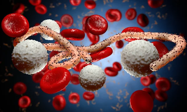 Virus dell'ebola, batteri, virus, epidemia. Realistico virus di rendering 3D Ebola con cellule del sangue all'interno dell'organismo . — Foto Stock