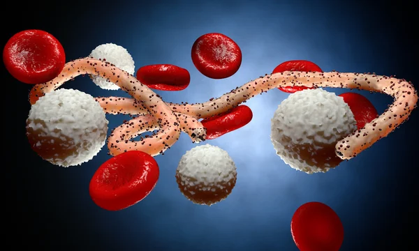 Ebola virus, bacteria, virus , epidemic. Realistic 3d render virus Ebola with blood cell inside organism. — Stock Photo, Image