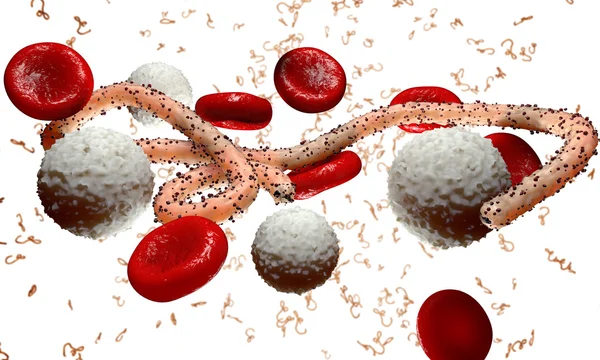 Virus del Ébola, bacterias, virus, epidemia. Realista 3d renderizar virus Ébola con células sanguíneas dentro del organismo . —  Fotos de Stock