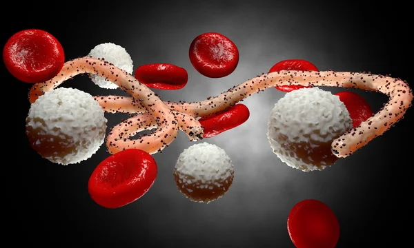 Virus del Ébola, bacterias, virus, epidemia. Realista 3d renderizar virus Ébola con células sanguíneas dentro del organismo . — Foto de Stock