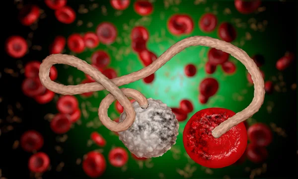 Ebola virus, bacteria, virus , epidemic. Realistic 3d render virus Ebola with blood cell inside organism. — Stock Photo, Image