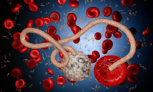 Ebola virüs, bakteri, virüs, salgın. Kan hücre organizma içinde Ebola virüsü gerçekçi 3d render. 