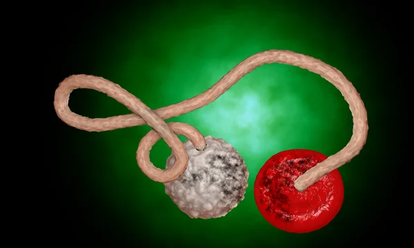 에볼라 바이러스, 박테리아, 바이러스, 전염병입니다. 현실적인 3d 렌더링 유기 체 안에 혈액 세포와 에볼라 바이러스. — 스톡 사진