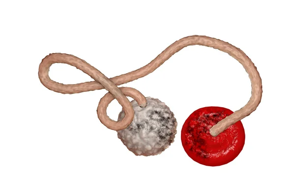 Ebola-Virus, Bakterien, Virus, Epidemie. realistische 3D-Rendering-Virus ebola mit Blutzellen im Organismus. — Stockfoto