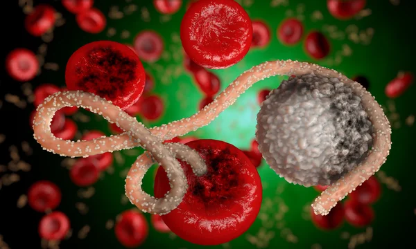 Ebola-virus, bakterier, virus, epidemi. Realistiska 3d render Ebola virus med blod cell i organismen. — Stockfoto