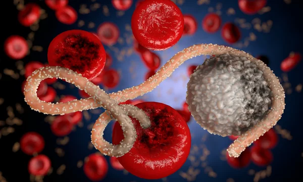 Ebola virus, bacteria, virus , epidemic. Realistic 3d render virus Ebola with blood cell inside organism. — Stock Photo, Image