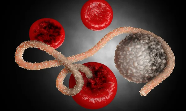 Virus dell'ebola, batteri, virus, epidemia. Realistico virus di rendering 3D Ebola con cellule del sangue all'interno dell'organismo . — Foto Stock