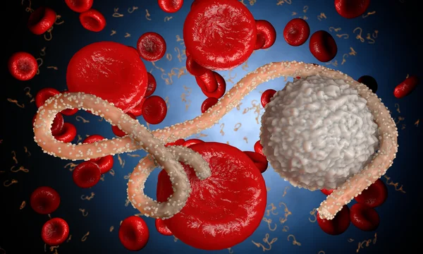 Virus dell'ebola, batteri, virus, epidemia. Realistico virus di rendering 3D Ebola con cellule del sangue all'interno dell'organismo . — Foto Stock