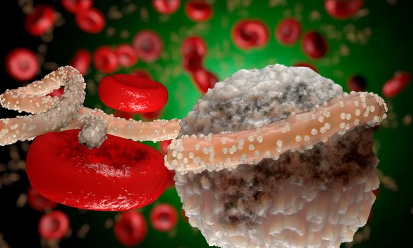 Ebola virus, bacteria, virus , epidemic. Realistic 3d render virus Ebola with blood cell inside organism. — Stock Photo, Image