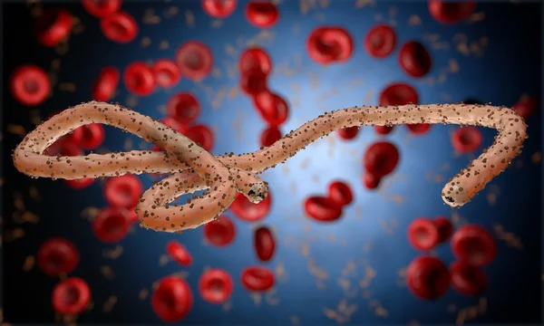 Ebola-Virus, Bakterien, Virus, Epidemie. realistische 3D-Rendering-Virus ebola mit Blutzellen im Organismus. — Stockfoto