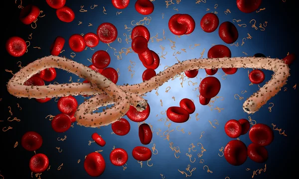 Ebola-virus, bakterier, virus, epidemi. Realistiska 3d render Ebola virus med blod cell i organismen. — Stockfoto
