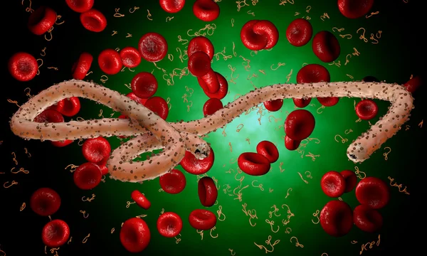 Virus dell'ebola, batteri, virus, epidemia. Realistico virus di rendering 3D Ebola con cellule del sangue all'interno dell'organismo . — Foto Stock