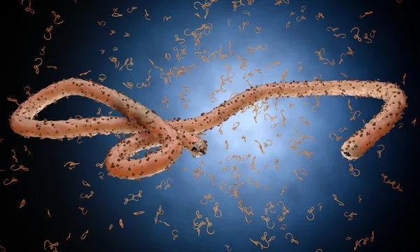 Ebola virüs, bakteri, virüs, salgın. Kan hücre organizma içinde Ebola virüsü gerçekçi 3d render. — Stok fotoğraf