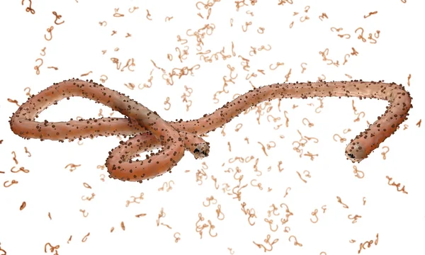 Ebola virüs, bakteri, virüs, salgın. Kan hücre organizma içinde Ebola virüsü gerçekçi 3d render. 