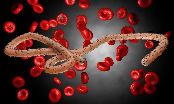 Virus dell'ebola, batteri, virus, epidemia. Realistico virus di rendering 3D Ebola con cellule del sangue all'interno dell'organismo . — Foto Stock