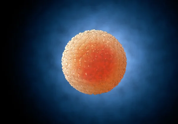 Spermatozoi, spermatozoi, galleggianti all'ovulo - rendering 3d — Foto Stock