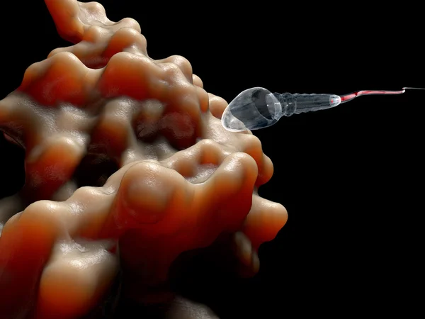 Espermatozóides, esperma, flutuando para o óvulo - 3d render — Fotografia de Stock