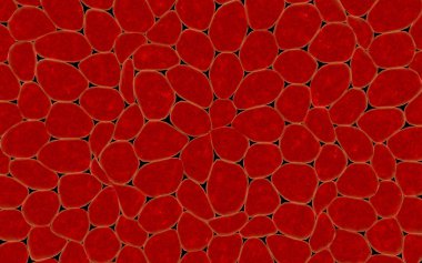 Anatomi organik arka plan. Moleküler hücre yapısı