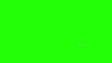 Antonov An-2 BI-uçak. Eski beyaz uçak. Gerçekçi Fizik animasyon, gerçekçi yansımalar ve hareketleri. Global aydınlatma render. Yeşil ekran görüntüleri.