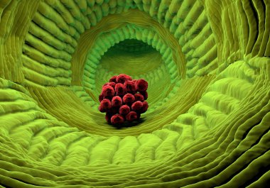 insan organizması görünümü içinde. Canlı virüs. Organik anatomisi yapısı