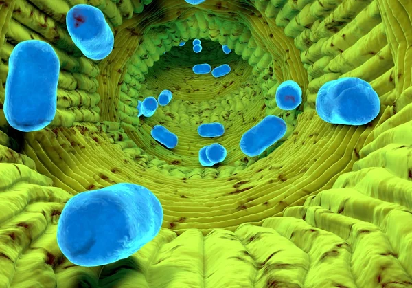 Intérieur vue de l'organisme humain. Virus dans l'organisme. Structure anatomique organique — Photo