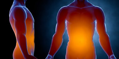 X ışını insan erkek vücudu. Anatomi kavramı. 3D render