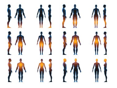 X ışını insan erkek kadın vücudu. Anatomi kavramı. İzole, 3d render