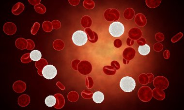 Erythrocyte, red blood cells, anatomy medical concept. inside human organism.realistic render