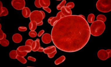 Erythrocyte, red blood cells, anatomy medical concept. inside human organism.realistic render
