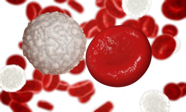white blood cell,  leucocyte. 3d render clipart