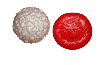 white blood cell,  leucocyte. 3d render