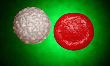 white blood cell,  leucocyte. 3d render