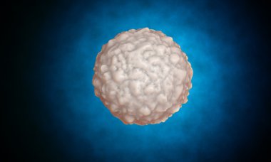 white blood cell,  leucocyte. 3d render