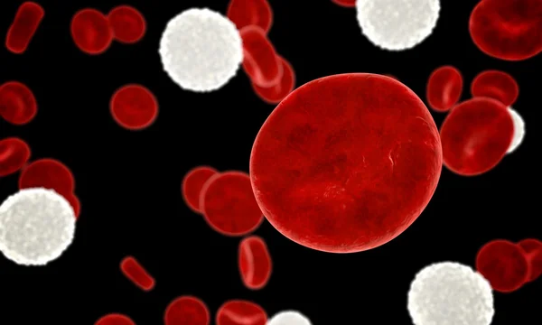 Erythrozyten, rote Blutkörperchen, anatomisches medizinisches Konzept. innerhalb des menschlichen Organismus. Realistische Darstellung — Stockfoto