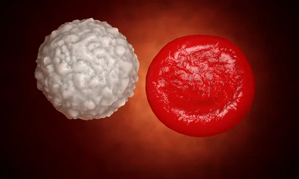 Eritrócitos, glóbulos vermelhos, conceito médico de anatomia. dentro do organismo humano.Renderização realista — Fotografia de Stock